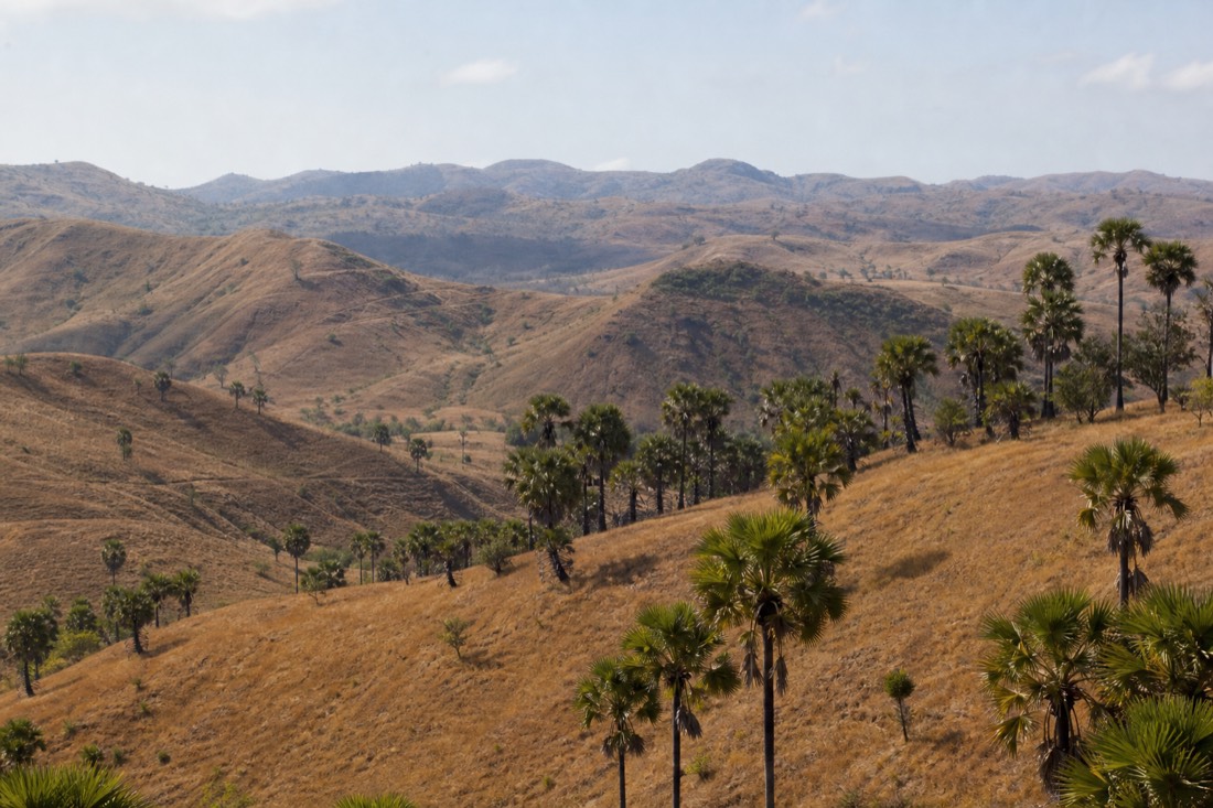 Komodo National Park