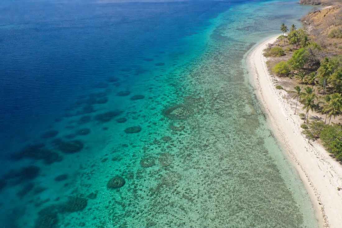 The shallow fringing reef off Kanawa Island, part of Komodo National Park's marine ecosystem
