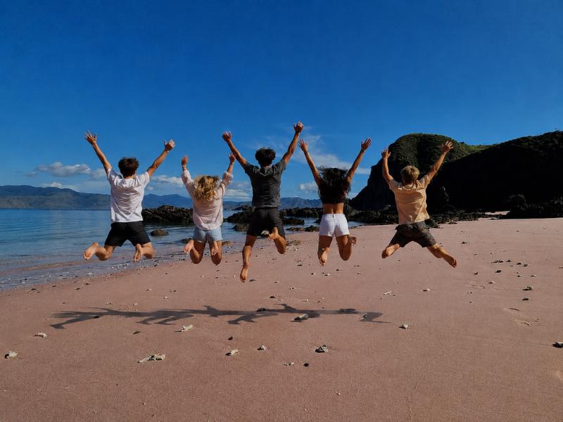 Komodo Island Tours