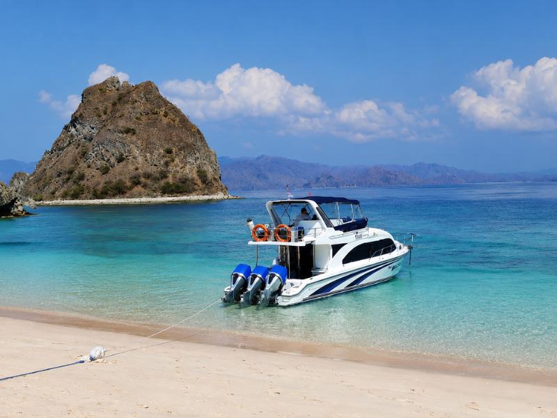 Early Bird Komodo Tour: Private Speed Boat to Beat the Crowds